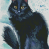 Black Fluffy Kitty Diamond Paintings