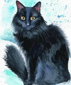 Black Fluffy Kitty Diamond Paintings