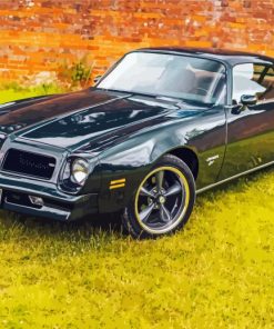 Black Pontiac Firebird Car Diamond Paintings