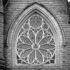 Black And White Cathedral Rose Diamond Paintings