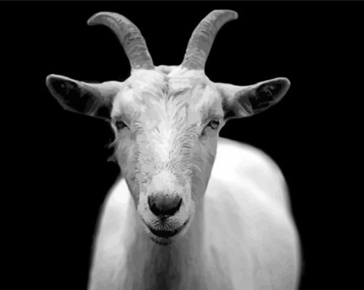 Black And white Goat Diamond Paintings