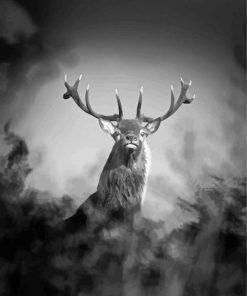 Black And White Stag Animal Diamond Paintings