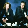 Cool The X Files Diamond Paintings