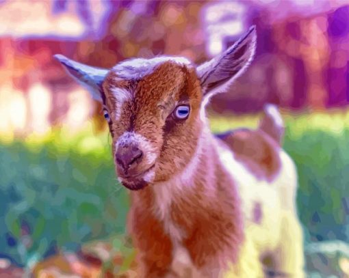 Cute Goat Baby Diamond Paintings