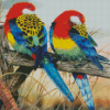 Eastern Rosellas Diamond Paintings