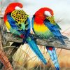 Eastern Rosellas Diamond Paintings