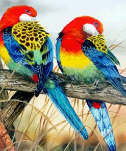 Eastern Rosellas Diamond Paintings