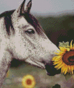 Head Horse With Sunflowers Diamond Paintings