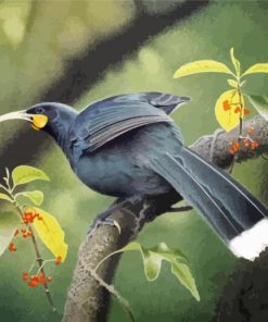 lonelly Huia Bird Diamond Paintings