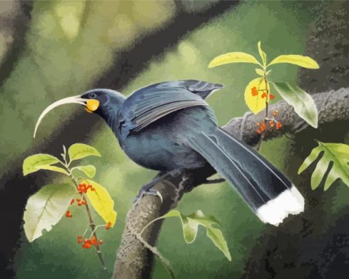 lonelly Huia Bird Diamond Paintings