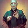 Lord Voldemort Art Diamond Paintings