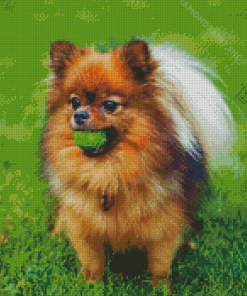 Pomeranian Dog Diamond Paintings