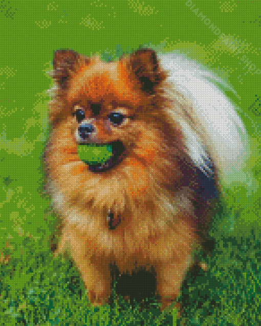 Pomeranian Dog Diamond Paintings