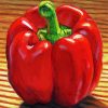 Red Pepper Art Diamond Paintings