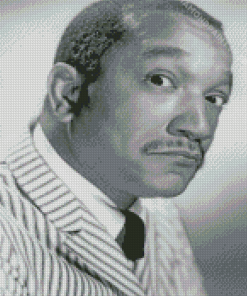 Monochrome Redd Foxx Diamond Paintings