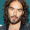 Aesthetic Russell Brand Illustration Diamond Paintings