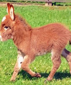 Beautiful Mini Donkey Diamond Paintings