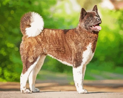 Brown American Akita Dog Diamond Paintings