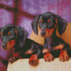 Dachshund Miniature Puppies Diamond Paintings