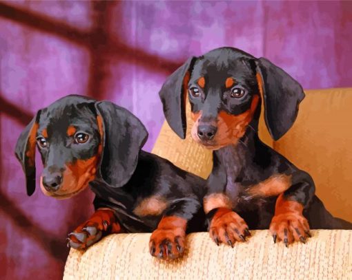 Dachshund Miniature Puppies Diamond Paintings