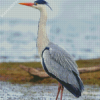 Grey Heron Diamond Paintings