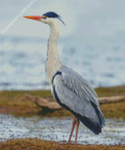 Grey Heron Diamond Paintings