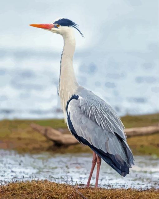 Grey Heron Diamond Paintings