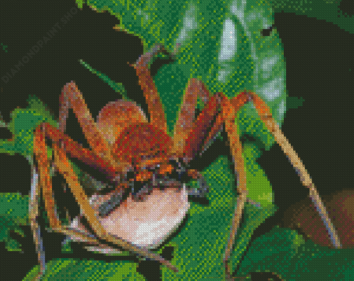 Huntsman Spider Insect With Egg Sack Diamond Paintings