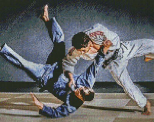 Jiu Jitsu Sport Diamond Paintings