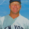 Mickey Mantle Diamond Paintings