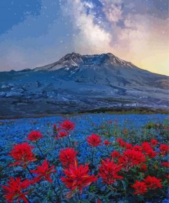 Mt St Helens With Red Poppies Diamond Paintings