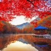 Naejangsan Mountain Autumn Asia Diamond Paintings