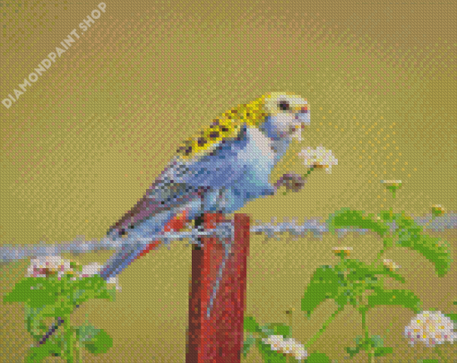 Pale Headed Rosella And Flowers Diamond Paintings