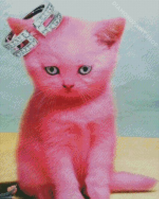 Pink Cat Diamond Paintings