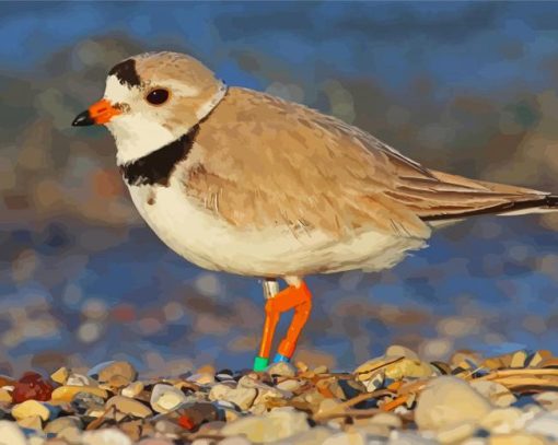 Sand Colored Piping Plover Diamond Paintings