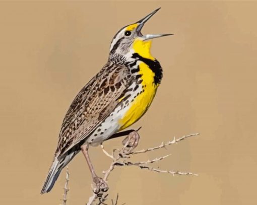 The Western meadowlark Bird Diamond Paintings