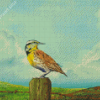 Western Meadowlark Art Diamond Paintings