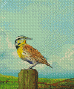 Western Meadowlark Art Diamond Paintings