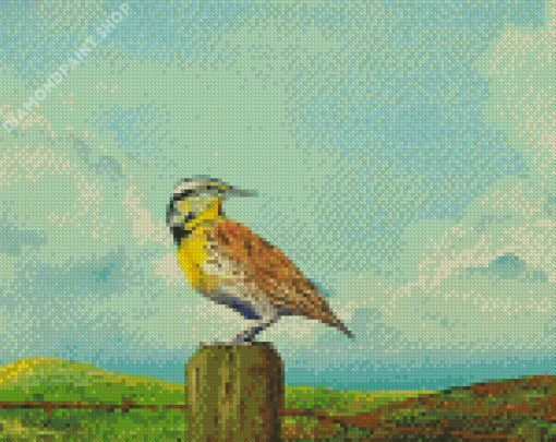 Western Meadowlark Art Diamond Paintings