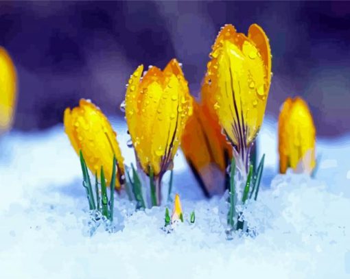 Yellow Spring Flower In Snow Diamond Paintings