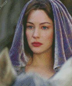 Aesthetic Arwen Lord Of The Rings Diamond Paintings