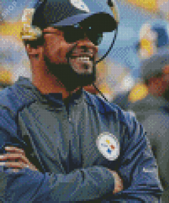 Cool Mike Tomlin Diamond Paintings