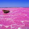 Pink Lake Retba Diamond Paintings