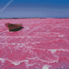 Pink Lake Retba Diamond Paintings