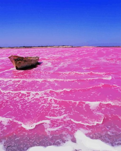 Pink Lake Retba Diamond Paintings