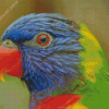 Tropical Lory Bird Diamond Paintings