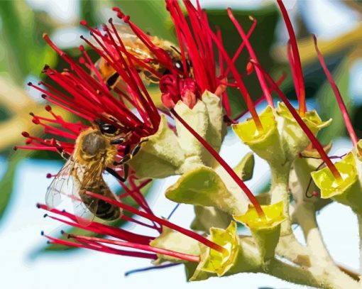 Two Bees On Pohutukawa Flower Diamond Paintings