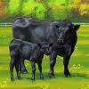 Aberdeen Angus Cows Diamond Paintings