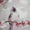 Aesthetic Bird Pink Flower Illustration Diamond Paintings