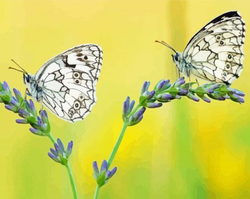 Aesthetic Couple Butterfly Diamond Paintings